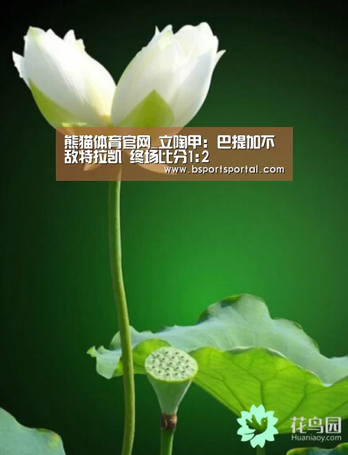 熊猫体育官网_立陶甲: 巴提加不敌特拉凯 终场比分1:2(图3) 熊猫体育官网