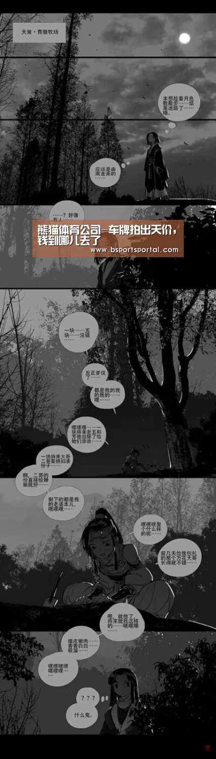熊猫体育公司-车牌拍出天价,钱到哪儿去了(图1) 熊猫体育