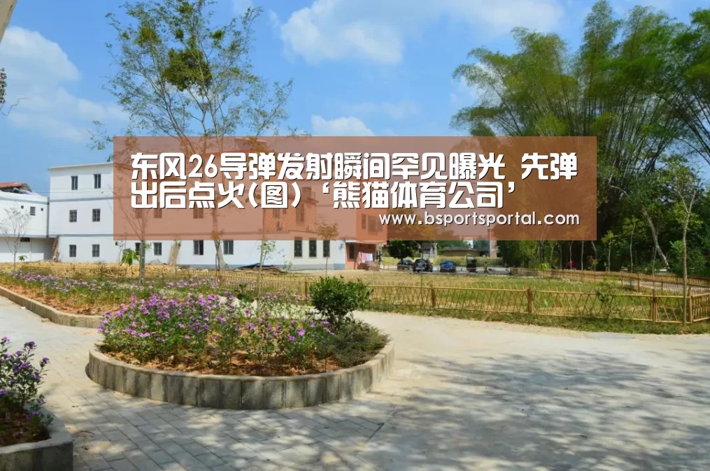 熊猫体育官网