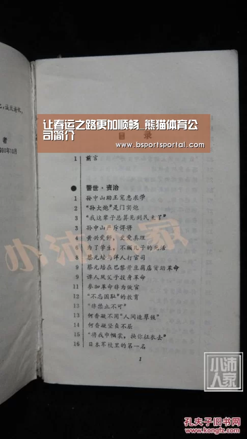 熊猫体育公司简介