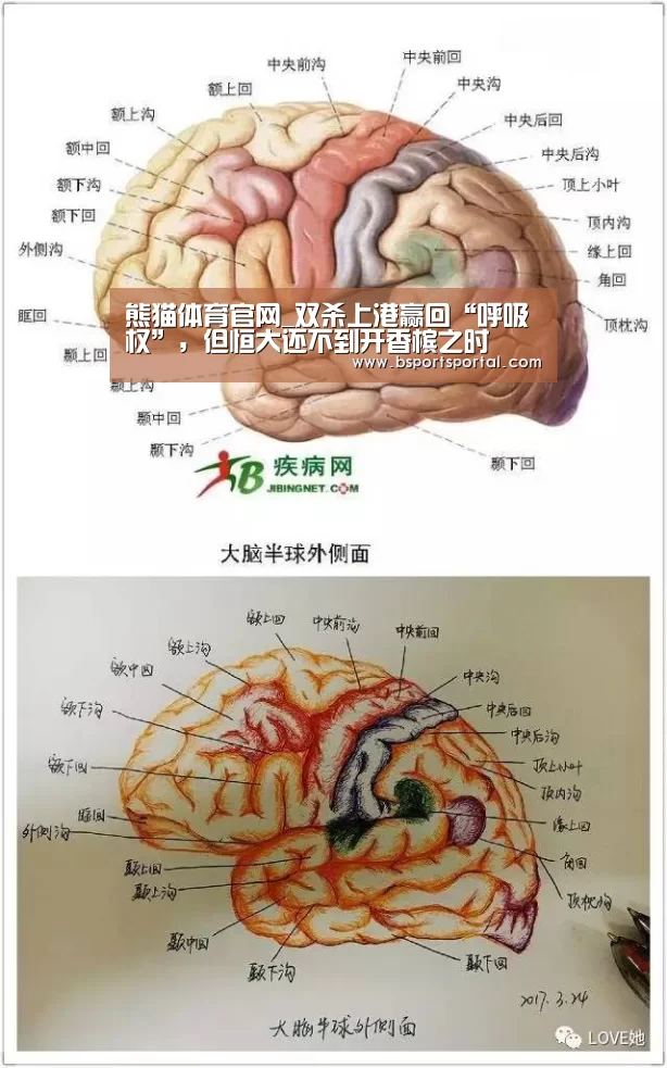 熊猫体育