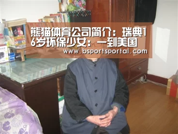 熊猫体育公司