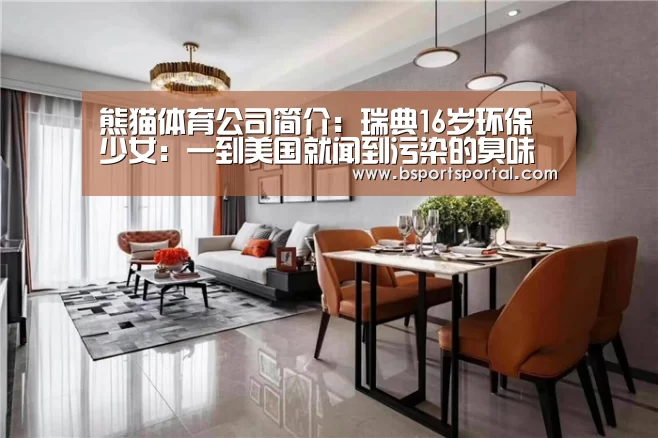 熊猫体育公司简介
