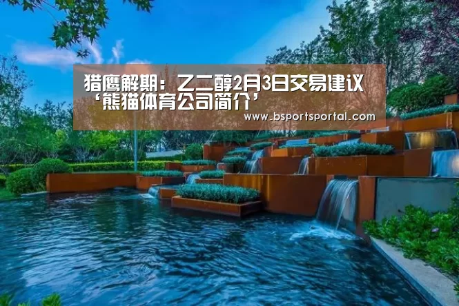 熊猫体育公司