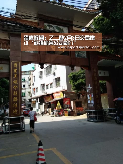 熊猫体育公司简介