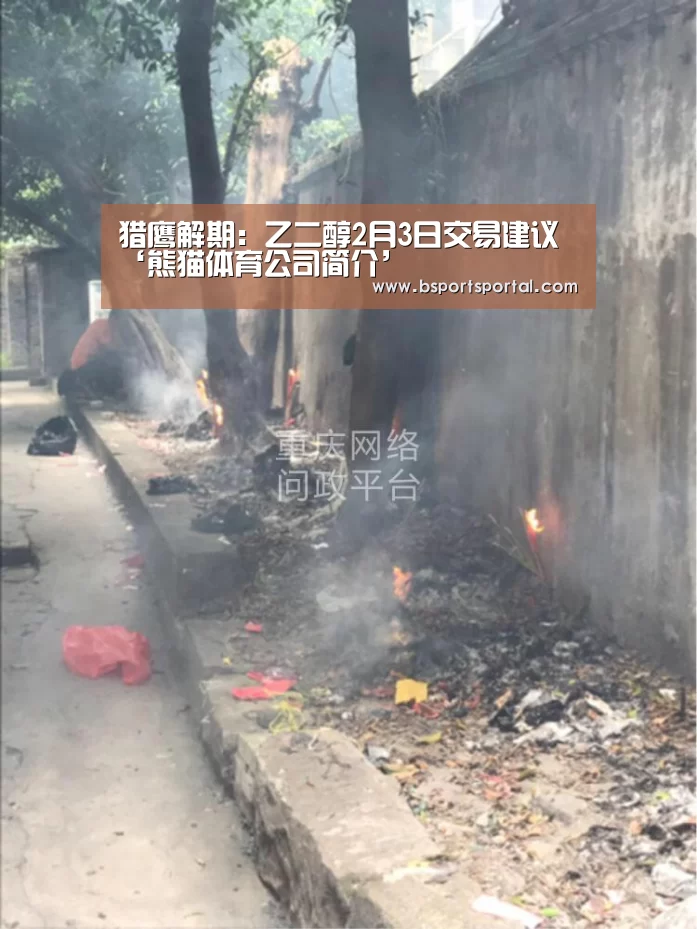 熊猫体育公司