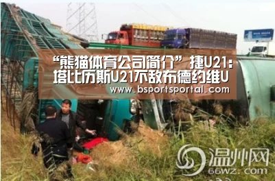 “熊猫体育公司简介”捷U21: 塔比历斯U21不敌布德约维U21 终场比分1:3(图3) 熊猫体育官网