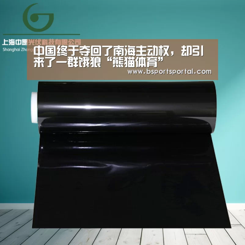 熊猫体育公司