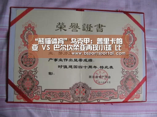 熊猫体育官网