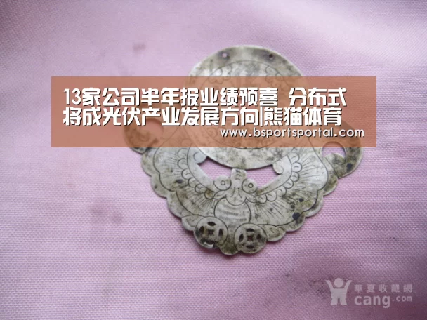 13家公司半年报业绩预喜 分布式将成光伏产业发展方向|熊猫体育(图1) 熊猫体育