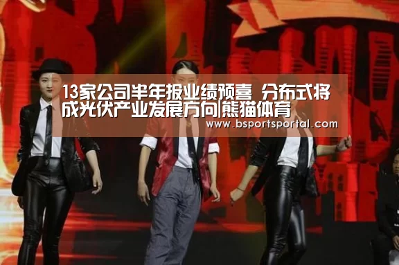 13家公司半年报业绩预喜 分布式将成光伏产业发展方向|熊猫体育(图3) 熊猫体育公司简介