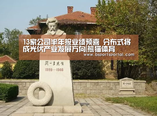 13家公司半年报业绩预喜 分布式将成光伏产业发展方向|熊猫体育(图2) 熊猫体育官网