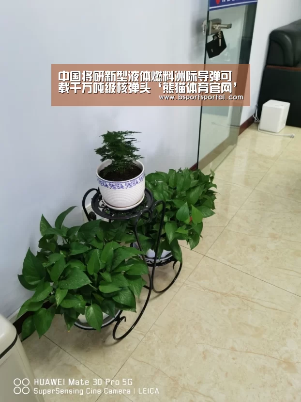 中国将研新型液体燃料洲际导弹可载千万吨级核弹头‘熊猫体育官网’(图1) 熊猫体育公司简介