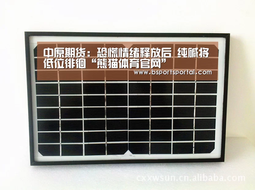 中原期货:恐慌情绪释放后 纯碱将低位徘徊“熊猫体育官网”(图1) 熊猫体育公司简介