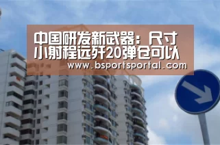 中国研发新武器:尺寸小射程远歼20弹仓可以装12枚:熊猫体育官网(图1) 熊猫体育公司