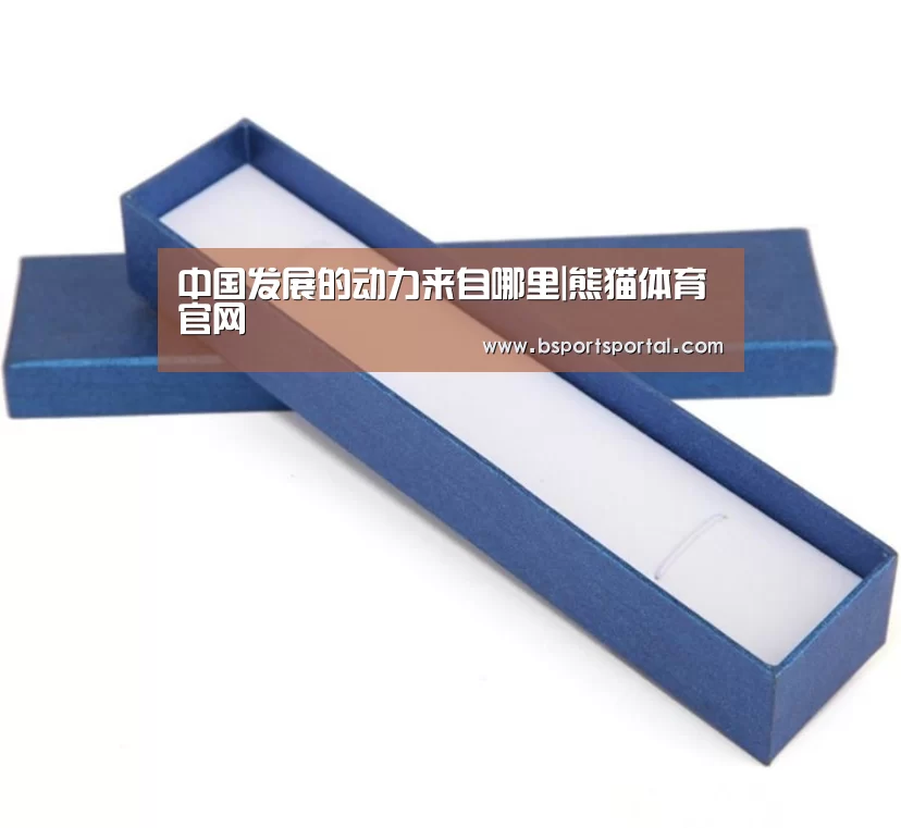 中国发展的动力来自哪里|熊猫体育官网(图1) 熊猫体育公司简介