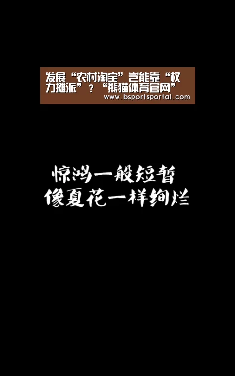 熊猫体育公司