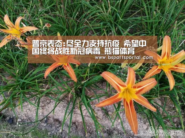 普京表态:尽全力支持抗疫 希望中国终将战胜新冠病毒_熊猫体育(图1) 熊猫体育公司简介