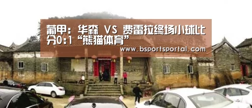 葡甲: 华森 VS 费雷拉终场小球比分0:1“熊猫体育”(图2) 熊猫体育公司简介